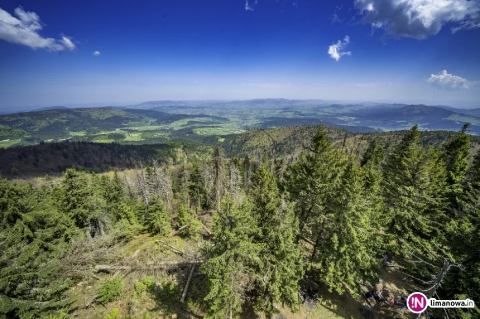 Wiosna na Mogielicy - 2018 - zdjęcie 17