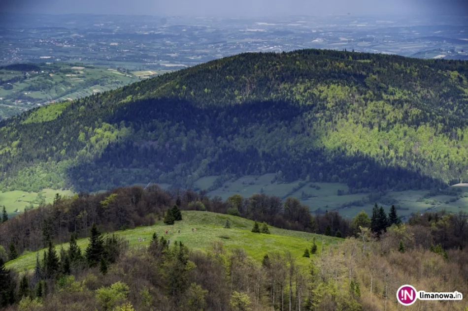 Wiosna na Mogielicy - 2018 - zdjęcie 18