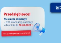 Przedsiębiorco, złóż do Enei informację o pomocy publicznej lub de minimis - zdjęcie główne