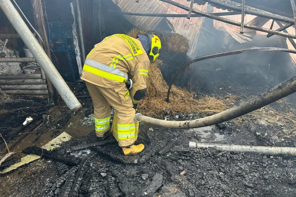 40 strażaków w akcji, poparzony mężczyzna trafił do szpitala - zdjęcie 12