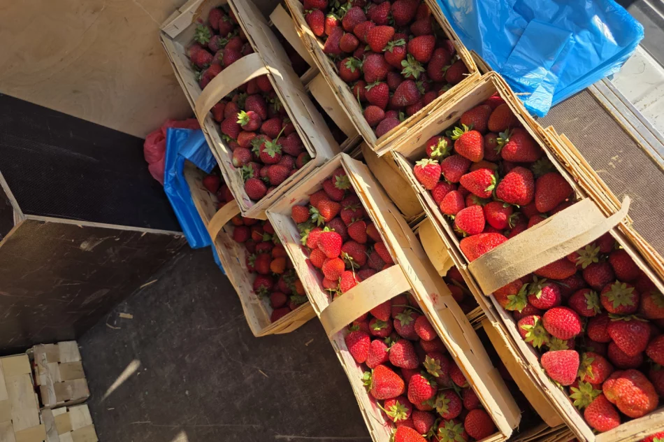 Sprzedam pyszne, soczyste truskaweczki 22zl za koszyk 2kg - zdjęcie 1