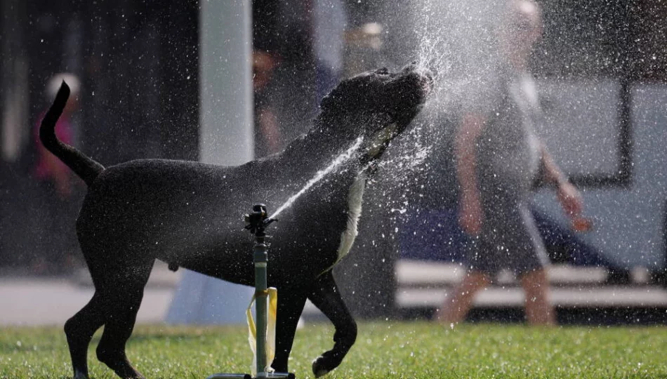Maj rekordowo ciepły na świecie, w Polsce ekstremalnie chłodny - zdjęcie 1