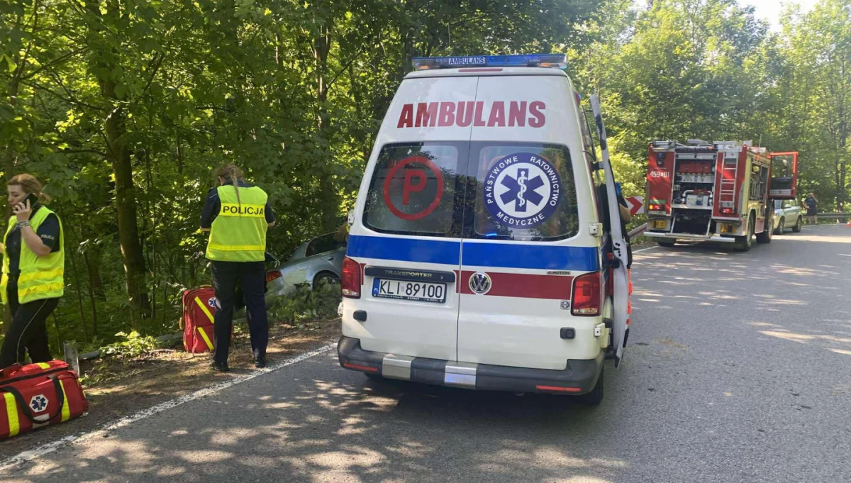 Dwie kolizje drogowe w jednej miejscowości/fot.: OSP Zalesie