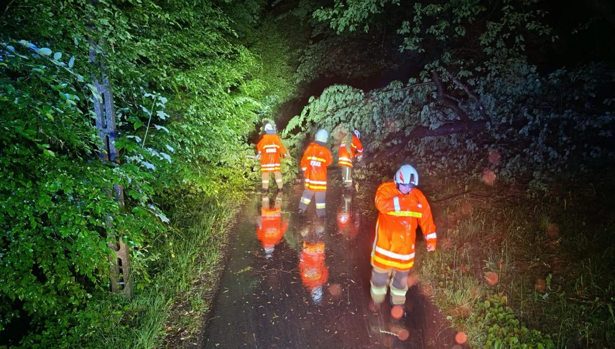 Skutki burzy i silnego wiatru/fot.: OSP Łososina Górna, OSP Laskowa