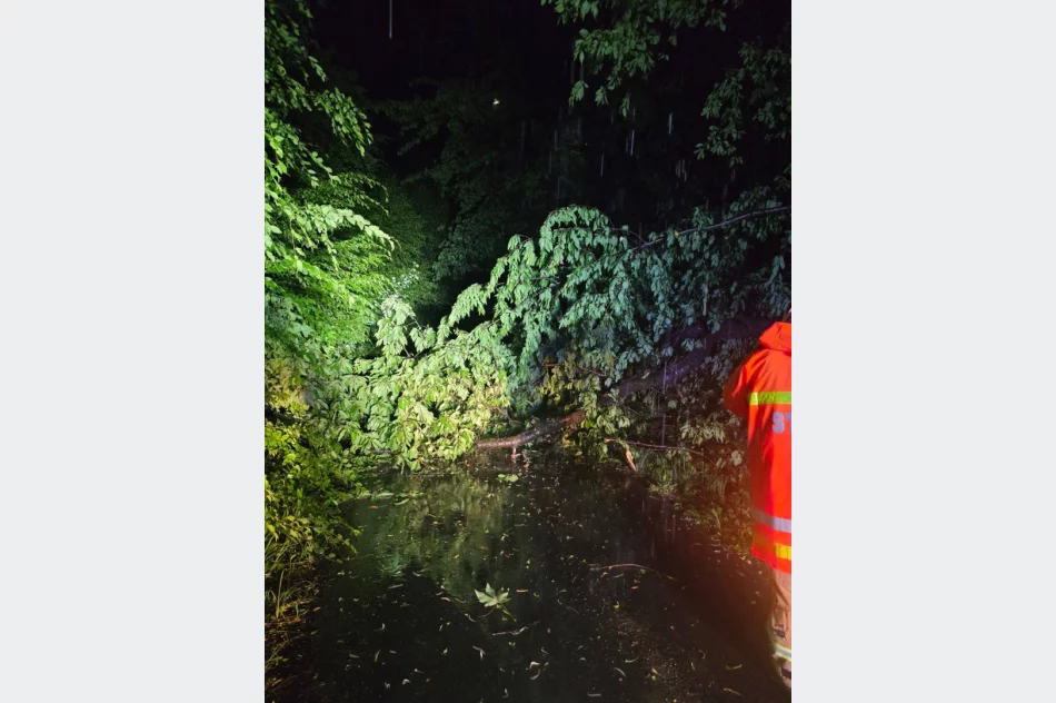 ​Silny wiatr i gwałtowna burza. Interwencje w kilku miejscowościach - zdjęcie 2