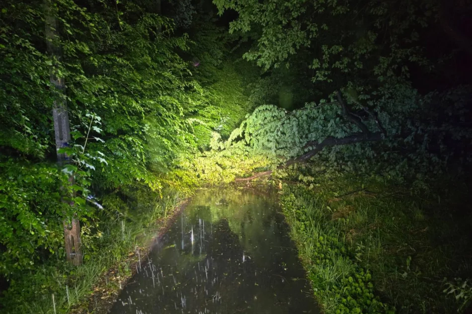 ​Silny wiatr i gwałtowna burza. Interwencje w kilku miejscowościach - zdjęcie 3