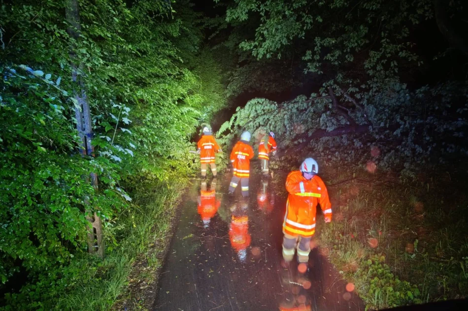 ​Silny wiatr i gwałtowna burza. Interwencje w kilku miejscowościach - zdjęcie 4
