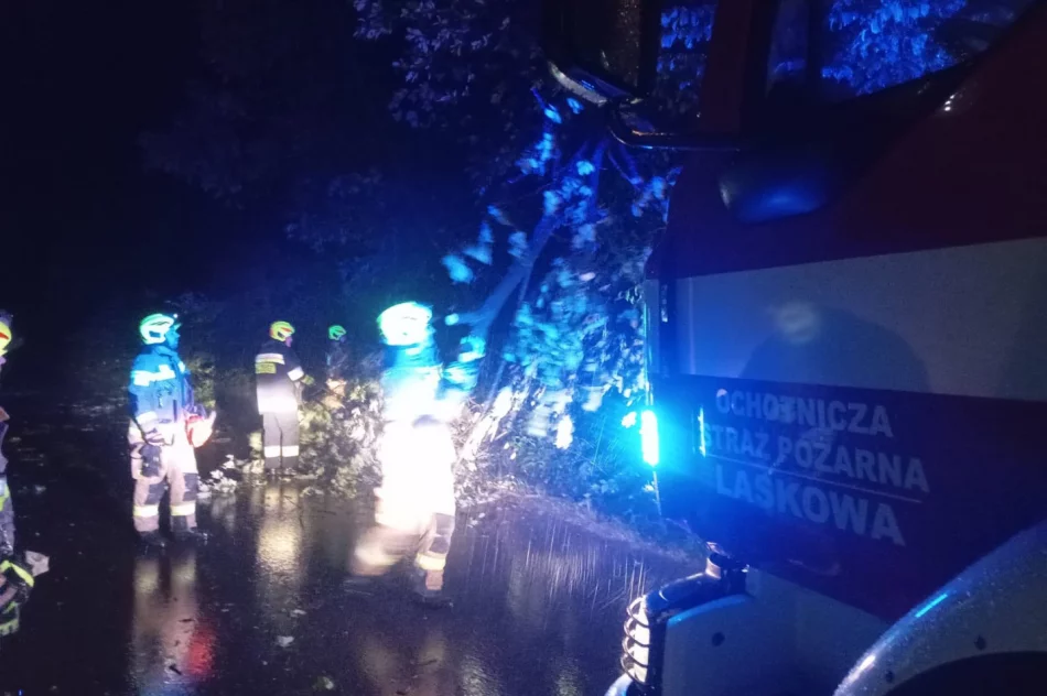 ​Silny wiatr i gwałtowna burza. Interwencje w kilku miejscowościach - zdjęcie 5