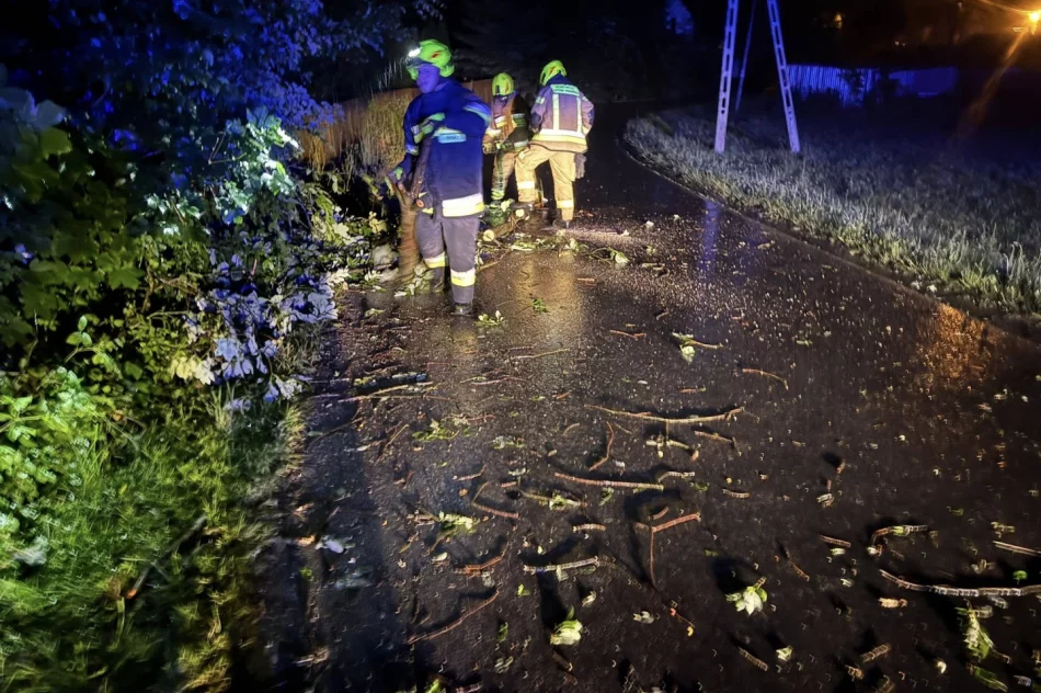 ​Silny wiatr i gwałtowna burza. Interwencje w kilku miejscowościach - zdjęcie 6