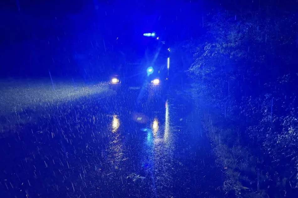 ​Silny wiatr i gwałtowna burza. Interwencje w kilku miejscowościach - zdjęcie 7