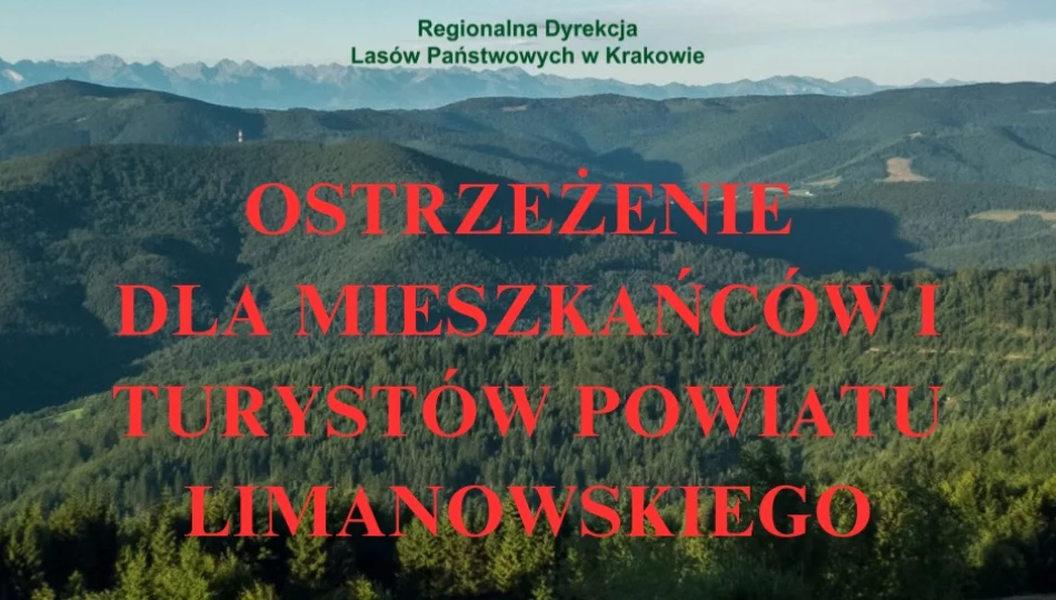 Do mieszkańców i turystów: apel o unikanie lasów - zdjęcie 1