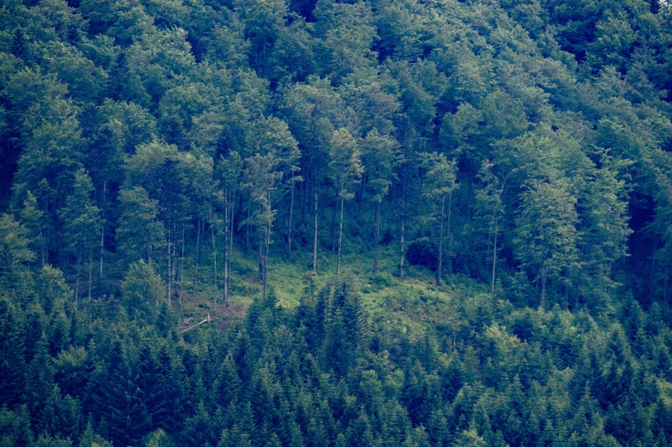 Poniedziałek: teren poszukiwań to 200 hektarów. Wpis policji w sprawie Bayraktar - zdjęcie 5