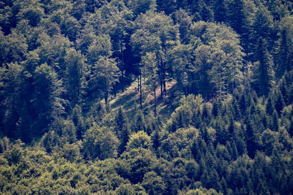 Poniedziałek: teren poszukiwań to 200 hektarów. Wpis policji w sprawie Bayraktar - zdjęcie 6