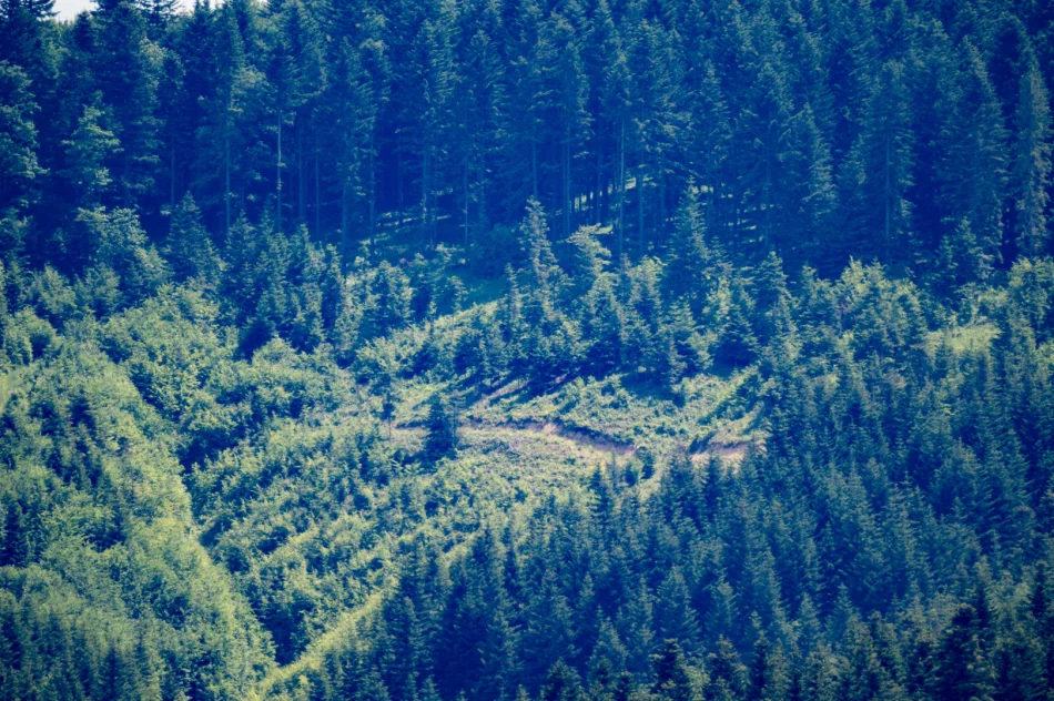 Poniedziałek: teren poszukiwań to 200 hektarów. Wpis policji w sprawie Bayraktar - zdjęcie 9