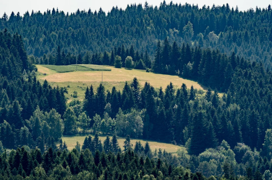 Poniedziałek: teren poszukiwań to 200 hektarów. Wpis policji w sprawie Bayraktar - zdjęcie 11