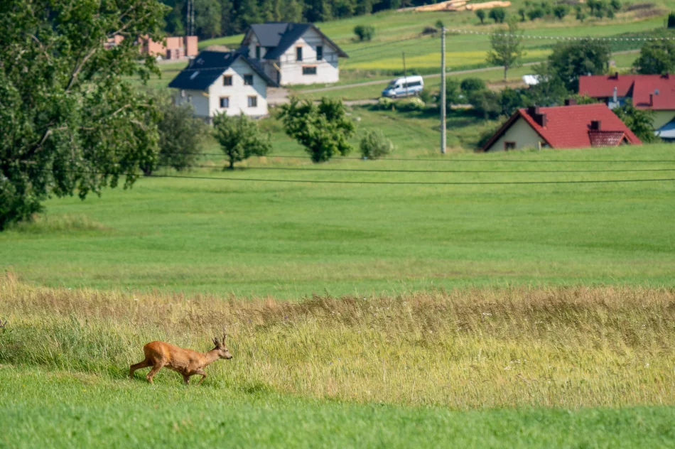 Poniedziałek: teren poszukiwań to 200 hektarów. Wpis policji w sprawie Bayraktar - zdjęcie 16