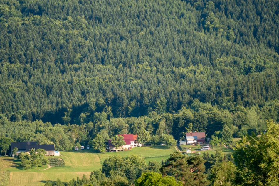 Poniedziałek: teren poszukiwań to 200 hektarów. Wpis policji w sprawie Bayraktar - zdjęcie 20