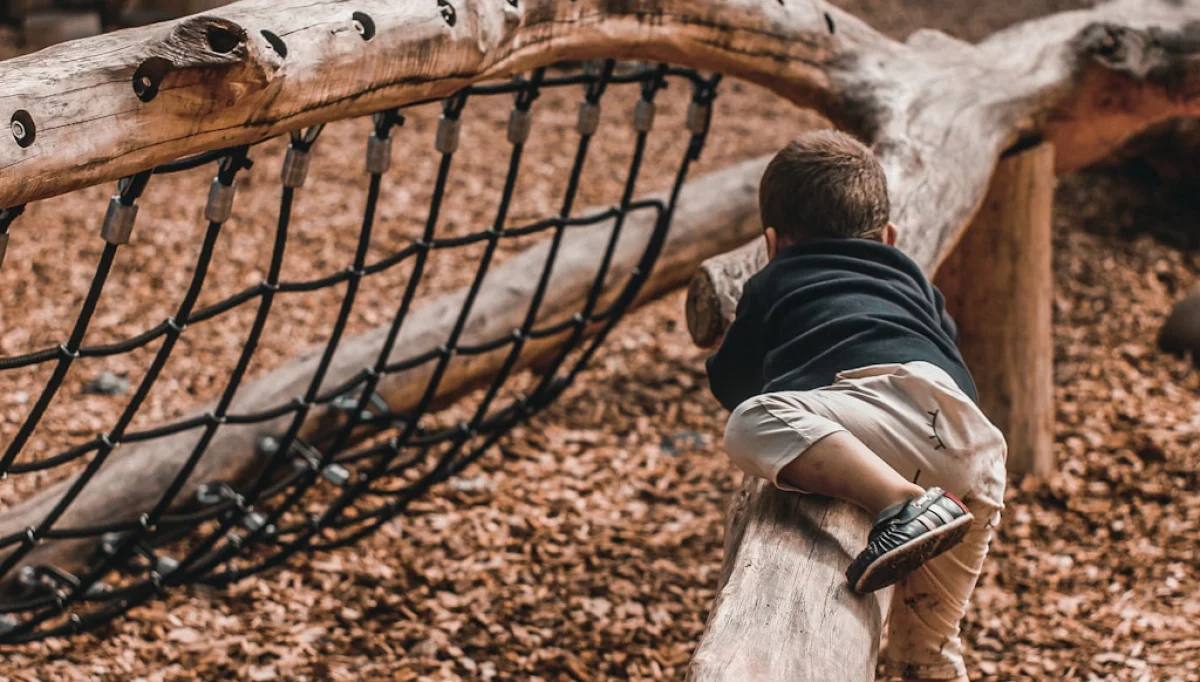 Źródło: unsplash.com Licencja: https://unsplash.com/license