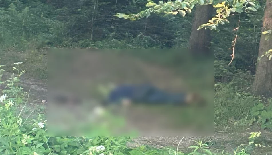 Tadeusz Duda nie żyje - został znaleziony martwy... przy drodze. Relacja świadka (WIDEO) - zdjęcie 1