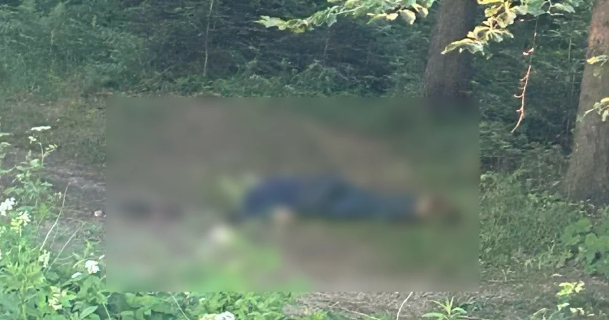 Tadeusz Duda nie żyje - został znaleziony martwy... przy drodze. Relacja świadka (WIDEO)