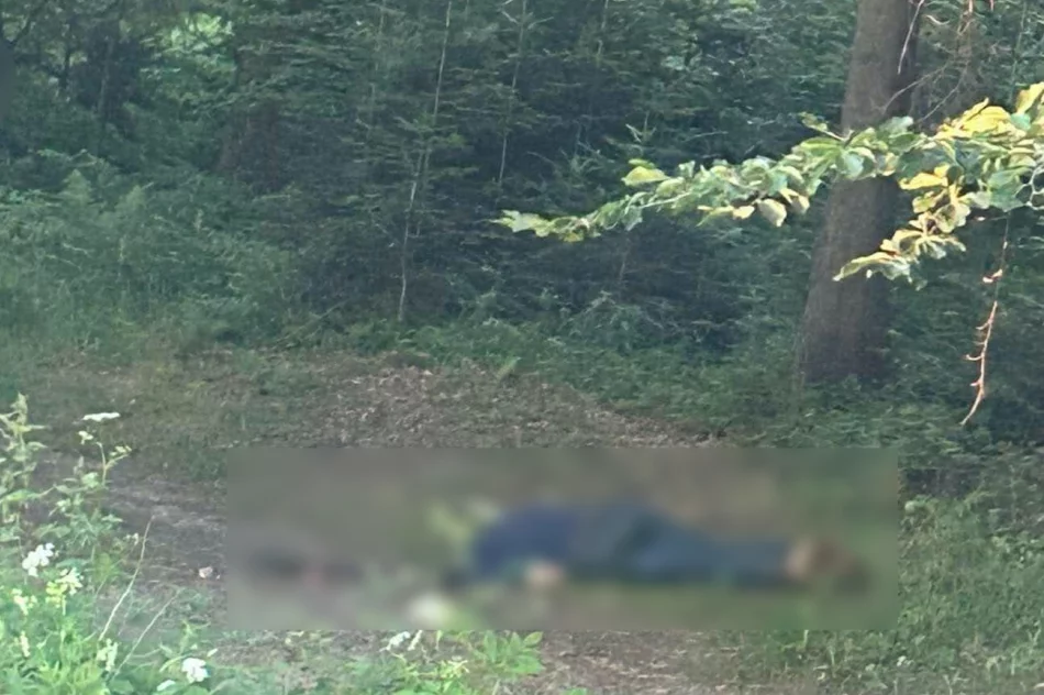 Tadeusz Duda nie żyje - został znaleziony martwy... przy drodze. Relacja świadka (WIDEO) - zdjęcie 4