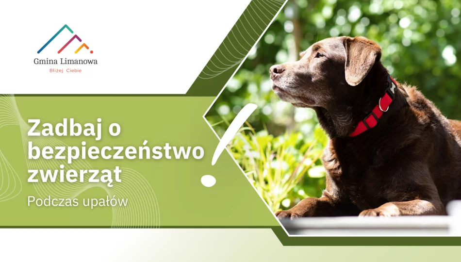 Zbliża się kolejna fala upałów, uwaga na zwierzęta! - zdjęcie 1