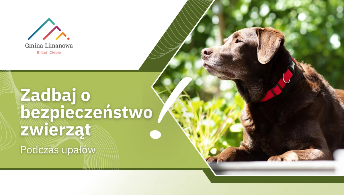 Zbliża się kolejna fala upałów, uwaga na zwierzęta!