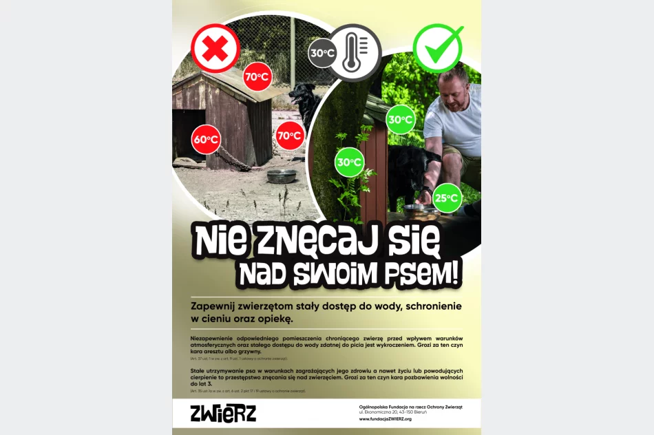 Zbliża się kolejna fala upałów, uwaga na zwierzęta! - zdjęcie 2