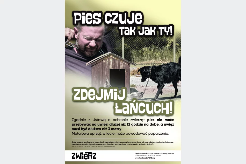Zbliża się kolejna fala upałów, uwaga na zwierzęta! - zdjęcie 3