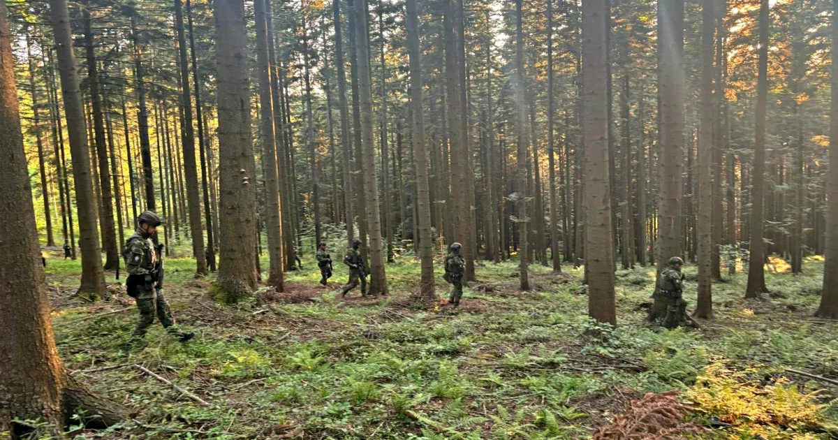 Straż Graniczna podsumowała zaangażowanie w obławę