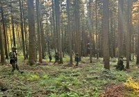 Straż Graniczna podsumowała zaangażowanie w obławę - zdjęcie główne