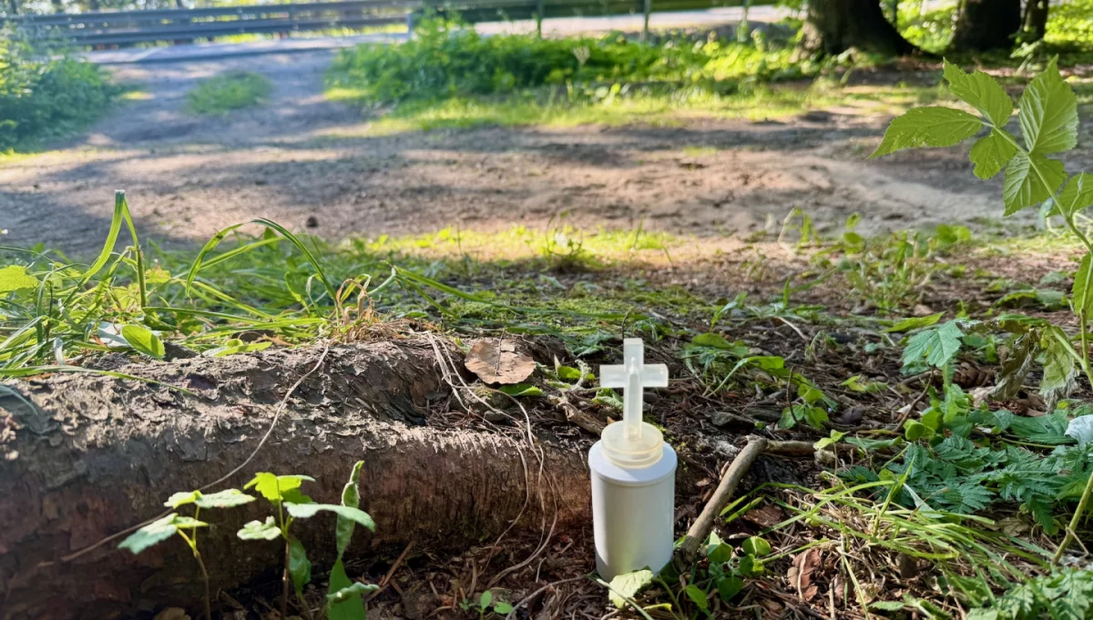 Miejsce odnalezienia ciała Tadeusza Dudy w Starej Wsi