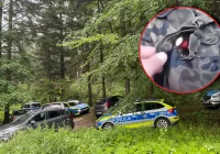 Policja nie znalazła dowodów? Rzeczy Tadeusza Dudy ujawnił cywil 50 m obok - zdjęcie główne