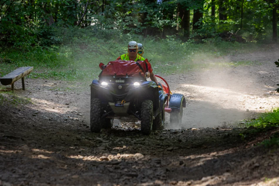 Limanowa Forrest 2025 - zdjęcie 1