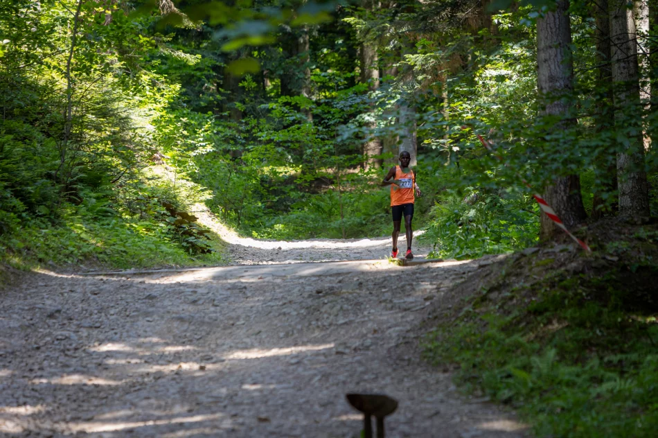 Limanowa Forrest 2025 - zdjęcie 4