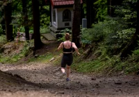 Jutro Limanowa Forrest: ważne informacje  - zdjęcie główne