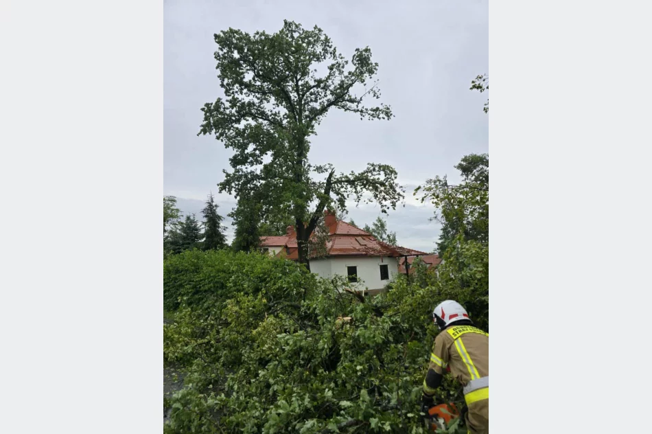 Silny front pogodowy nad Małopolską. Ponad 420 interwencji strażaków - zdjęcie 8