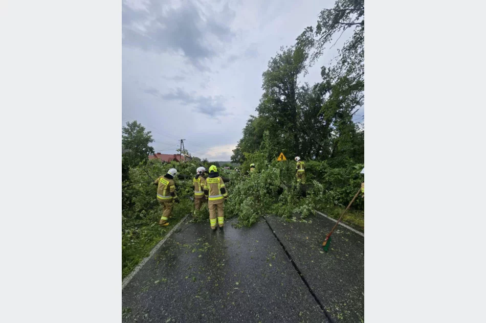Silny front pogodowy nad Małopolską. Ponad 420 interwencji strażaków - zdjęcie 9