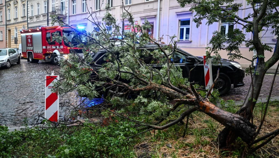 Straż pożarna: 2200 interwencji w związku z burzami - zdjęcie 1