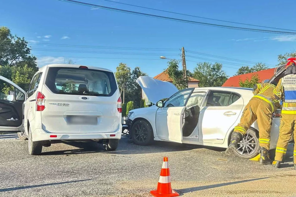 Dwa mandaty i niecodzienna przeszkoda na drodze - zdjęcie 2