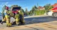 Dwa mandaty i niecodzienna przeszkoda na drodze - zdjęcie 3