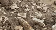 Niewybuch na budowie linii kolejowej. Interweniowali saperzy z Krakowa - zdjęcie 2