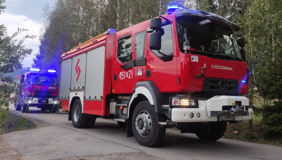 Pożar budynku gospodarczego. Na miejscu kilka jednostek straży - zdjęcie 1