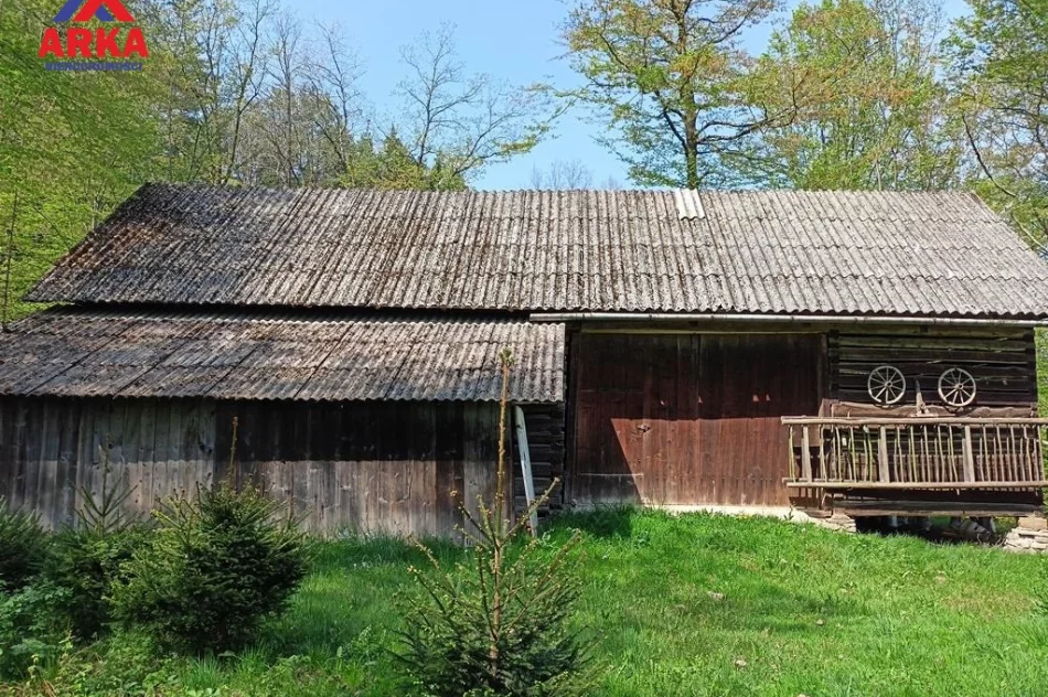 Duża działka z domem - Atrakcyjna cena ! - zdjęcie 2