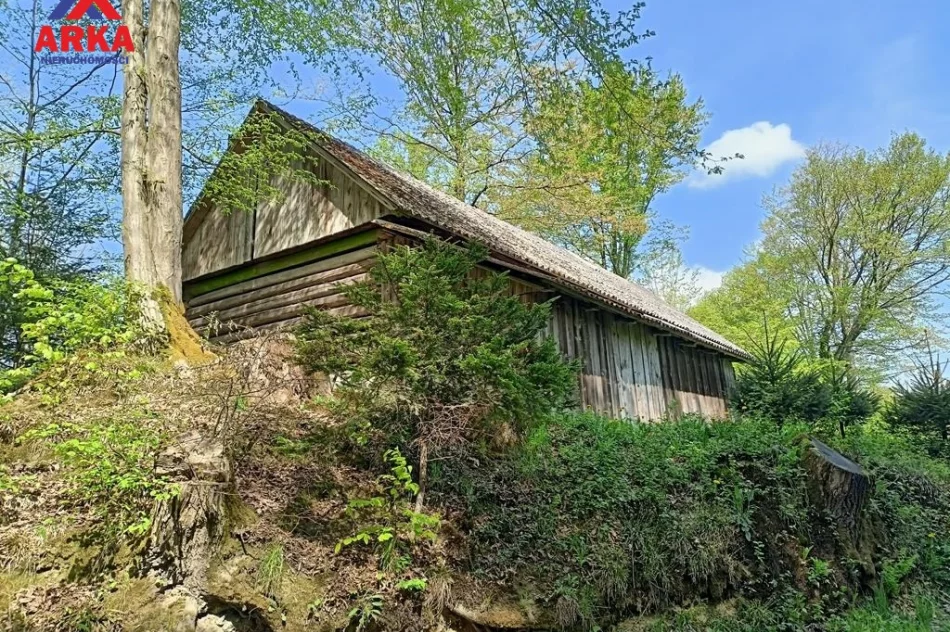 Duża działka z domem - Atrakcyjna cena ! - zdjęcie 3