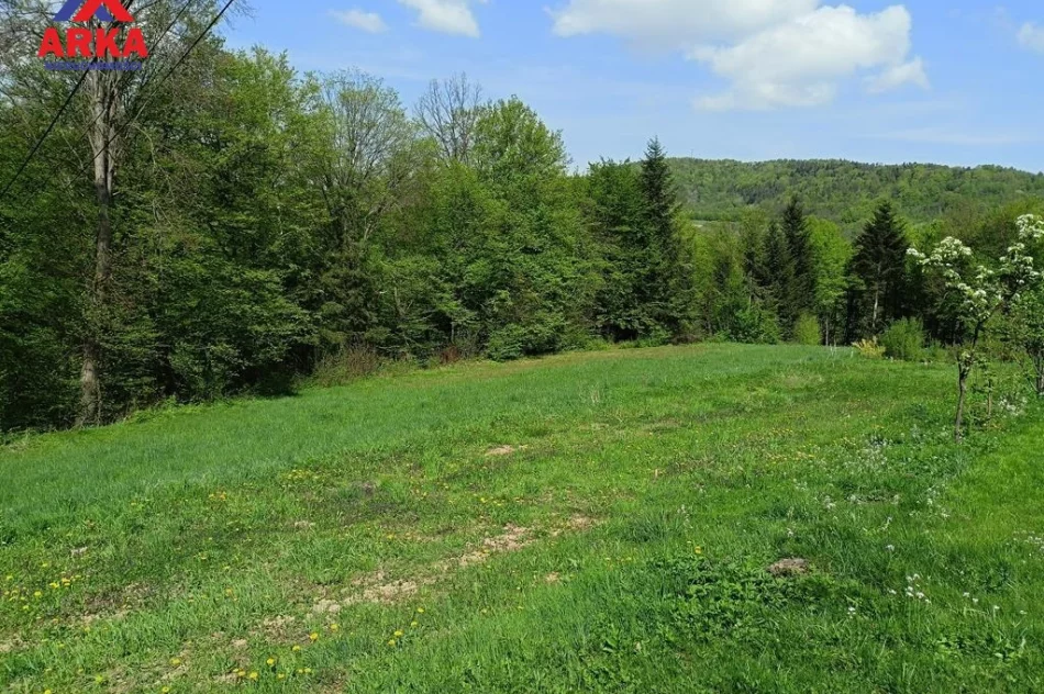 Duża działka z domem - Atrakcyjna cena ! - zdjęcie 4