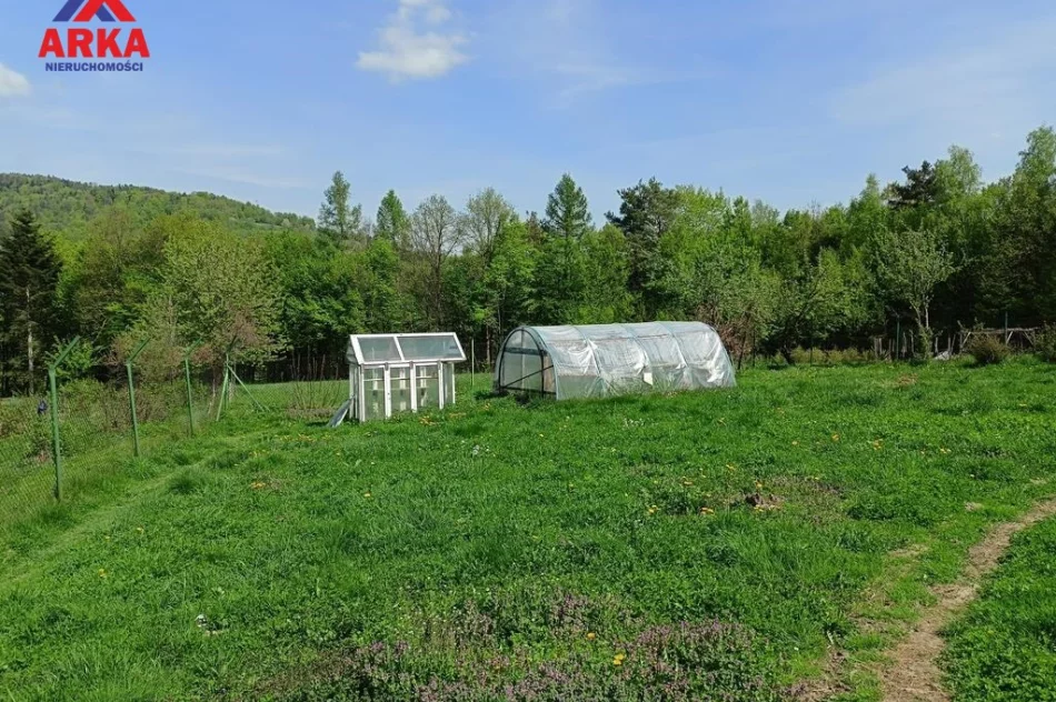 Duża działka z domem - Atrakcyjna cena ! - zdjęcie 5