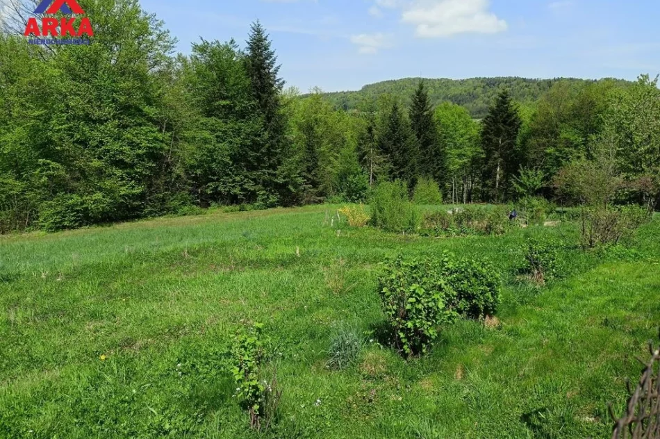 Duża działka z domem - Atrakcyjna cena ! - zdjęcie 6