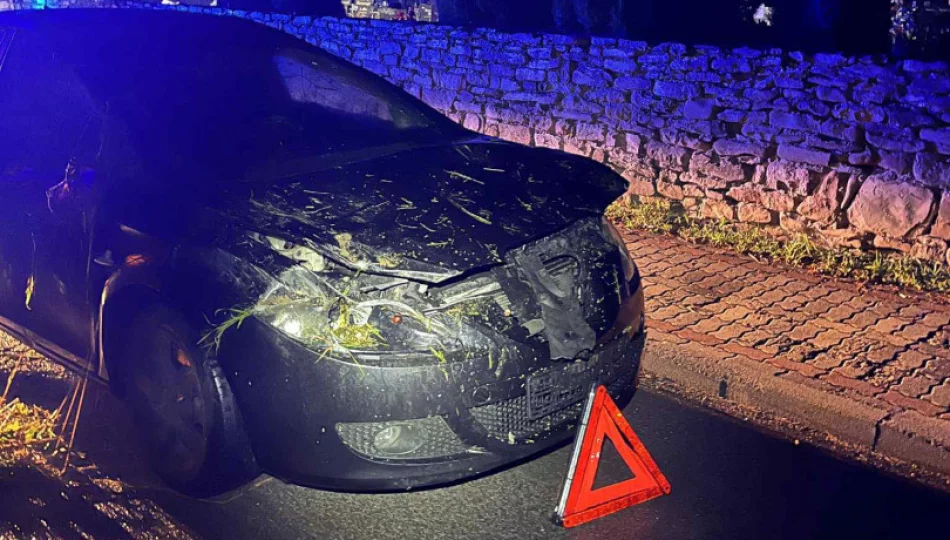 Samochód wypadł z drogi i dachował - zdjęcie 1