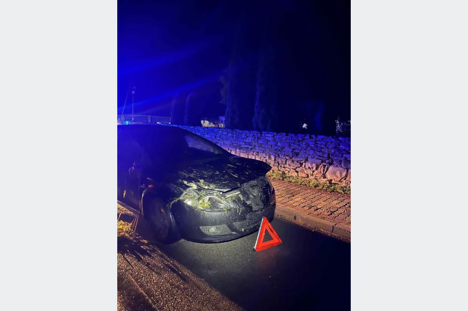Samochód wypadł z drogi i dachował - zdjęcie 4